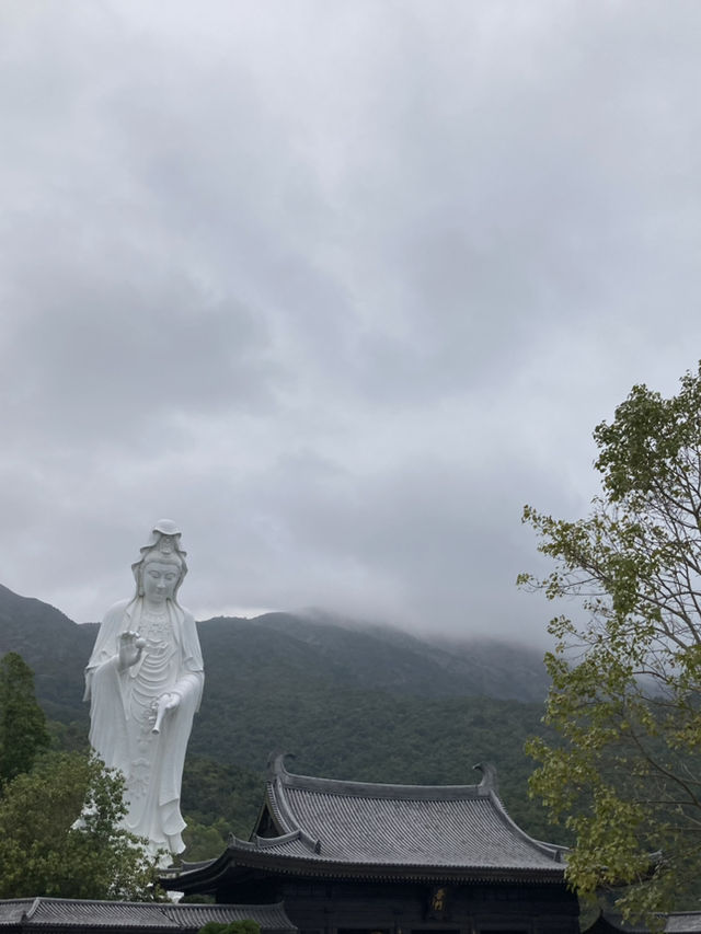 一起來參拜大埔慈山寺的觀音