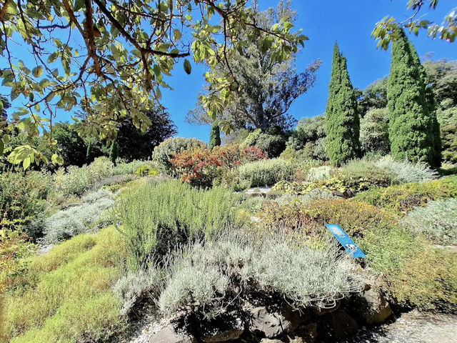 Dunedin Botanic Garden
