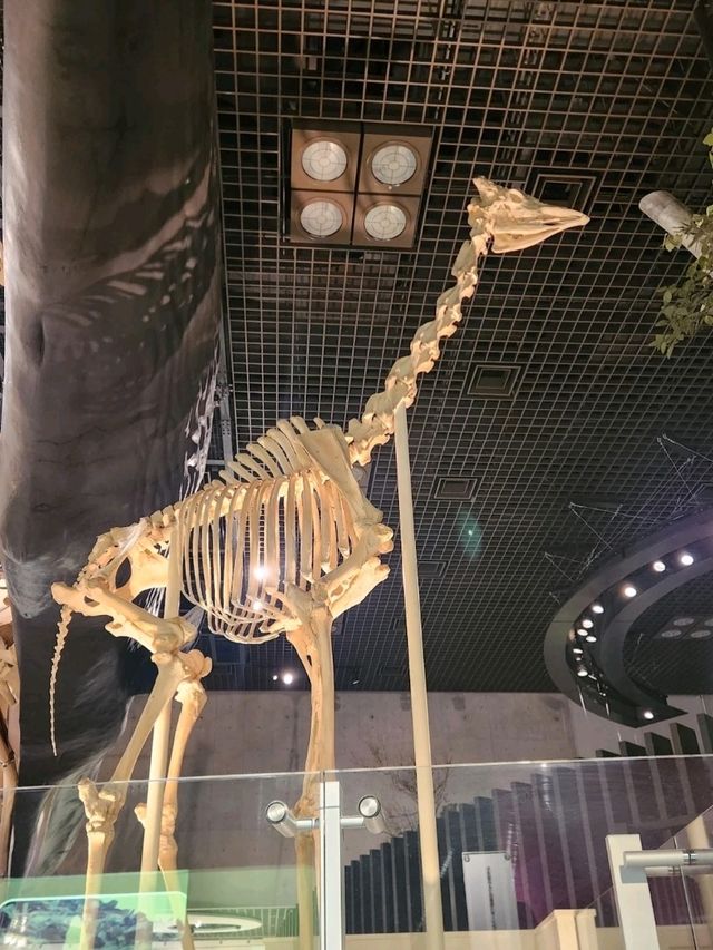 NATIONAL MUSEUM OF NATURE AND SCIENCE.