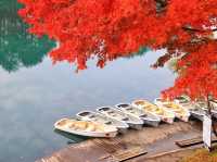 🍁✨ Goshikinuma – The Five Colored Ponds, Urabandai, Fukushima ✨🌿