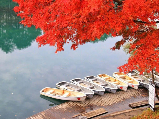 🍁✨ Goshikinuma – The Five Colored Ponds, Urabandai, Fukushima ✨🌿