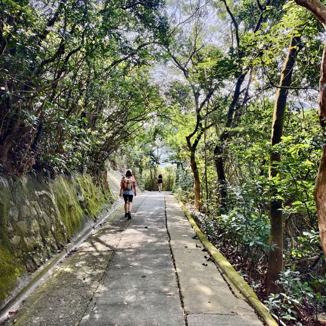 雙腳代替纜車：登太平山頂、爬『西高山』，一路看盡香港風光～