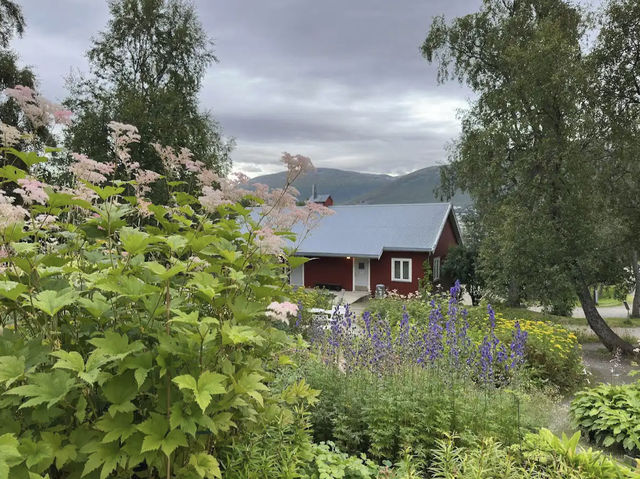 Arctic–Alpine Botanic Garden