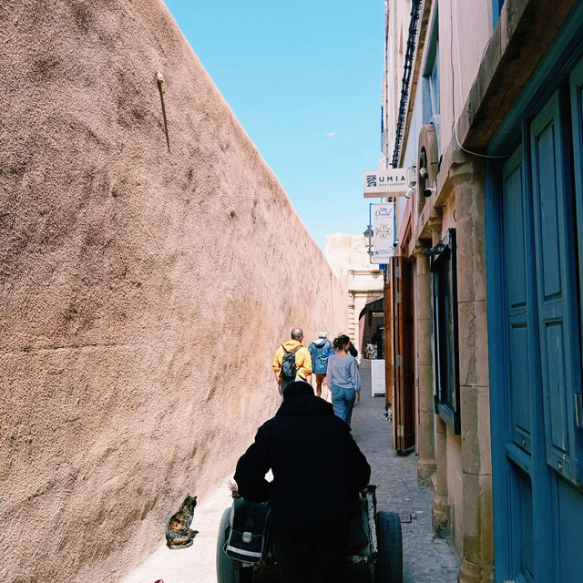 A Symphony for the Senses: My Solo Trip to Marrakech, Morocco A Symphony for the Senses: My Solo Trip to Marrakech, Morocco