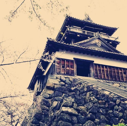 The Misty Phoenix: My Solo Visit to Maruoka Castle, Fukui