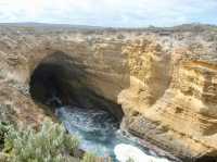 Ocean Bliss✨ Great Ocean Road — Australia’s Coastal Masterpiece & a Glimpse of Wild Koalas