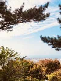 The Tranquil Walk to the Peak