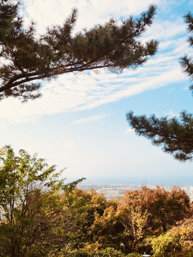 The Tranquil Walk to the Peak