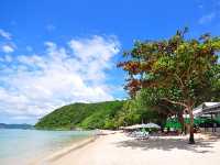 หาดอ่าวพร้าว หาดเงียบสงบบนเกาะเสม็ด