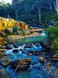 🌿 Gooseberry Hill National Park – Perth’s Hidden Gem on a Hill
