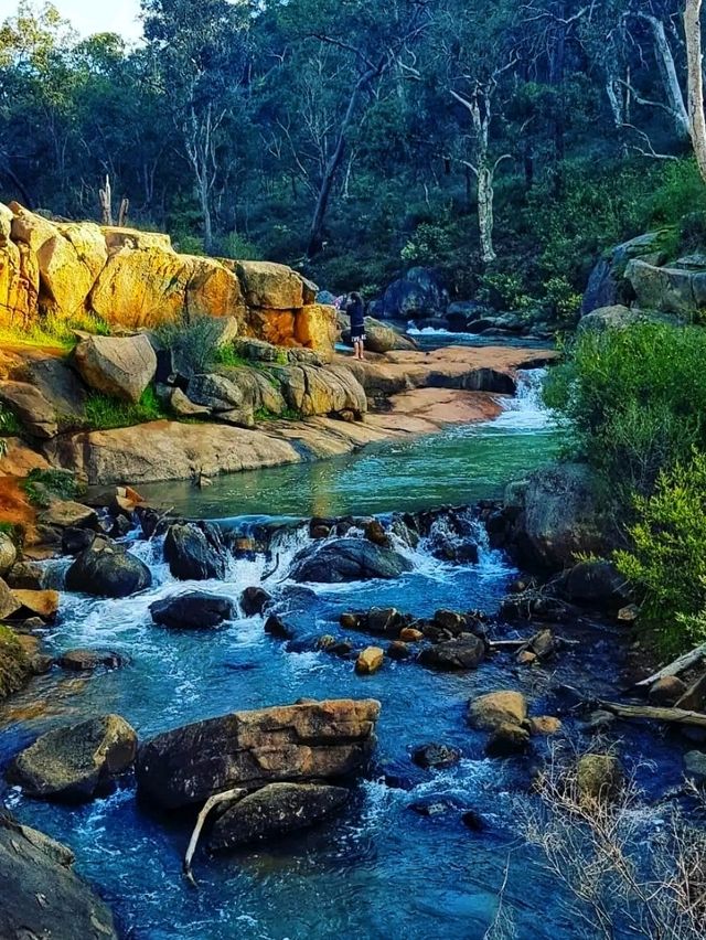 🌿 Gooseberry Hill National Park – Perth’s Hidden Gem on a Hill