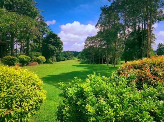 🌿 Pulai Springs Resort, Johor Bahru – A Tranquil Escape Surrounded by Nature