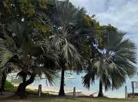 Notre Dame Auxiliatrice - Bright colors and a picturesque view of Mauritius 
