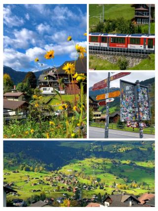 #hellohalloween
From Interlaken to Grindelwald – Scenic Swiss Journey

Traveling from Interlaken to Grindelwald is one of Switzerland’s most picturesque routes. The journey takes you through lush valleys, quaint villages, and along rivers with the Bernese Alps as a stunning backdrop. Trains are frequent, comfortable, and offer panoramic views of mountains, forests, and alpine meadows. Whether you’re heading to Jungfraujoch, exploring hiking trails, or simply enjoying the scenery, this route is a perfect introduction to the beauty of the Swiss Alps.

⭐ Rating: 9.5/10

#Switzerland #Interlaken #Grindelwald #SwissAlps #TrainJourney #travel #thingstodo #familytravel #couplestrip #staycation

