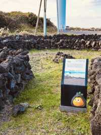 A Celebration of Jeju's Stone Wall Culture