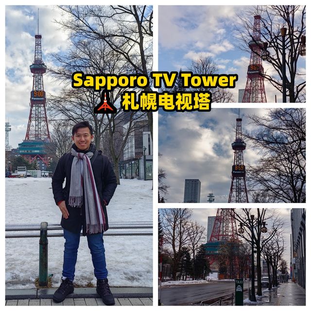 🌸 A Magical One-Day Journey Through Sapporo — From Morning Views to Night Lights