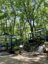 🌸 Garden Strolls & Gourmet Picnics at Nicolai Bergmann Hakone Gardens