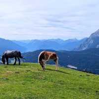 Conquering the Peaks and Views of Seefelder Spitze