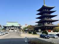 【愛知・覚王山日泰寺】日本唯一！宗派を超えたお釈迦さまの寺🕊️