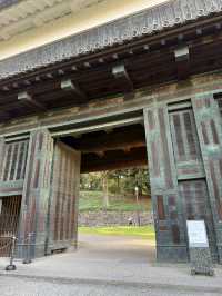 🍁 Autumn Stroll Around Nippon Budokan & Kitanomaru Park
