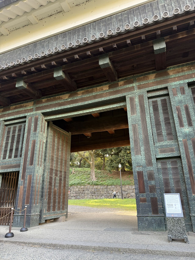 🍁 Autumn Stroll Around Nippon Budokan & Kitanomaru Park