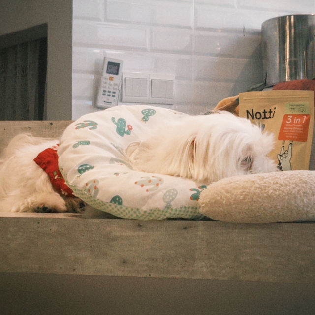 Furry Friend Spot🐶 Furry Friend Spot🐶