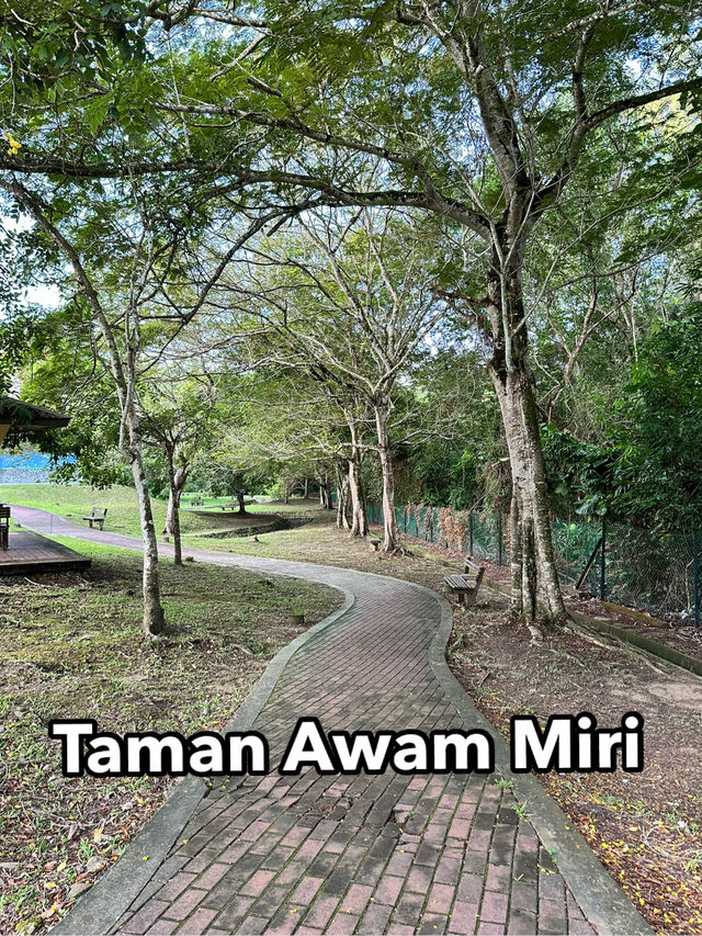 Where Laughter Echoes at Taman Awam Miri Where Laughter Echoes at Taman Awam Miri