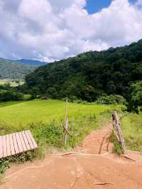 เส้นทางศึกษาธรรมชาติผาดอกเสี้ยว