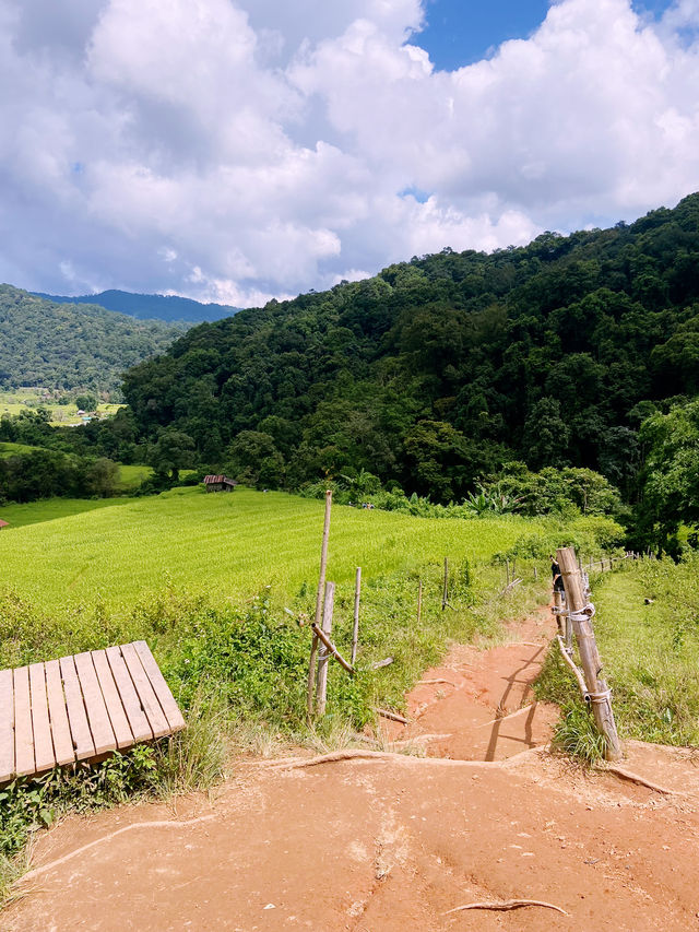 เส้นทางศึกษาธรรมชาติผาดอกเสี้ยว เส้นทางศึกษาธรรมชาติผาดอกเสี้ยว
