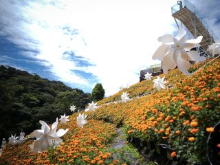 매혹적인 카메론 하이랜드 플로라 파크로의 탈출 🌸
