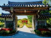 The Soloist's Urban Oasis: A Stroll Through Lauritzen Gardens