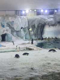 Chimelong Ocean Kingdom🐬