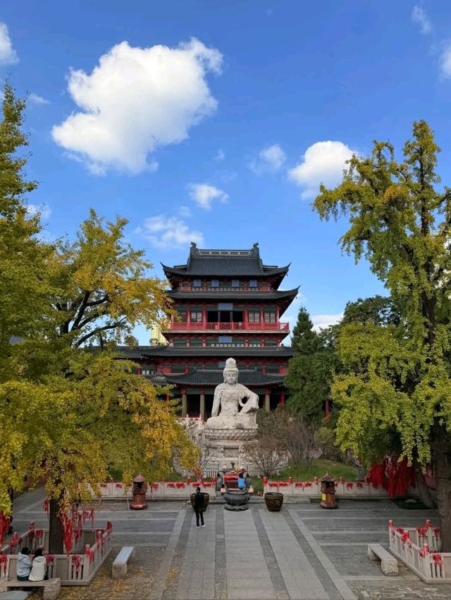 “Whispers of Serenity: The Zen Paradise of Nanjing”