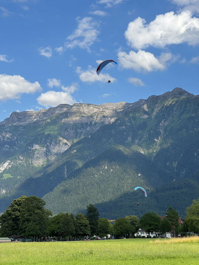 자연하면.. 스위스 그리고 뉴질랜드 자연하면.. 스위스 그리고 뉴질랜드