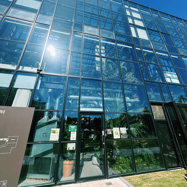 추운 겨울과 더운 여름에도 완벽한 실내데이트, 전주 아열대 식물원 추운 겨울과 더운 여름에도 완벽한 실내데이트, 전주 아열대 식물원