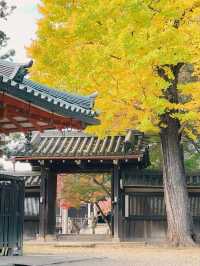 【奈良市】学問の神様も歌を詠んだ紅葉名所『手向山八幡宮』