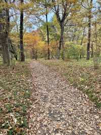 A Quiet Autumn Escape Inside the Imperial Palace