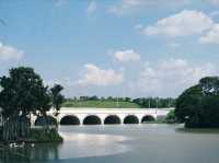 A Birdwatcher’s Haven: Wildlife Wonders at Swan Lake