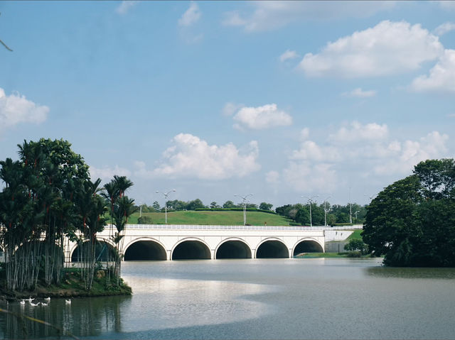 A Birdwatcher’s Haven: Wildlife Wonders at Swan Lake A Birdwatcher’s Haven: Wildlife Wonders at Swan Lake