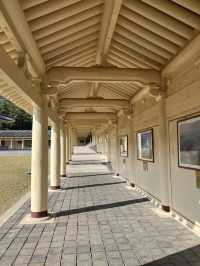 경주 은행나무 포토존 유적지