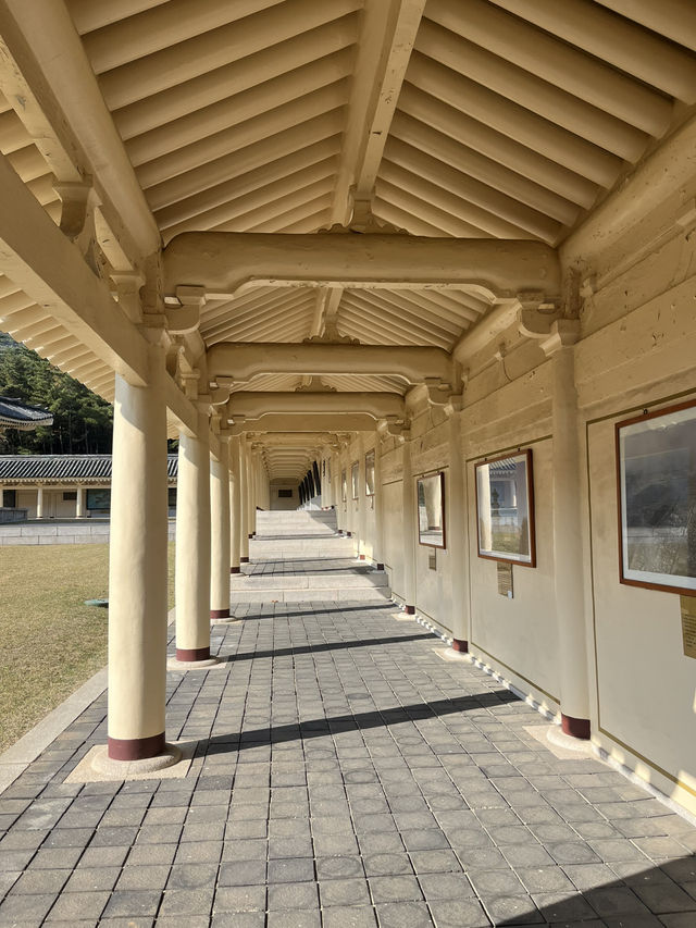 경주 은행나무 포토존 유적지 경주 은행나무 포토존 유적지