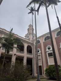 Campus Daydream☀️  