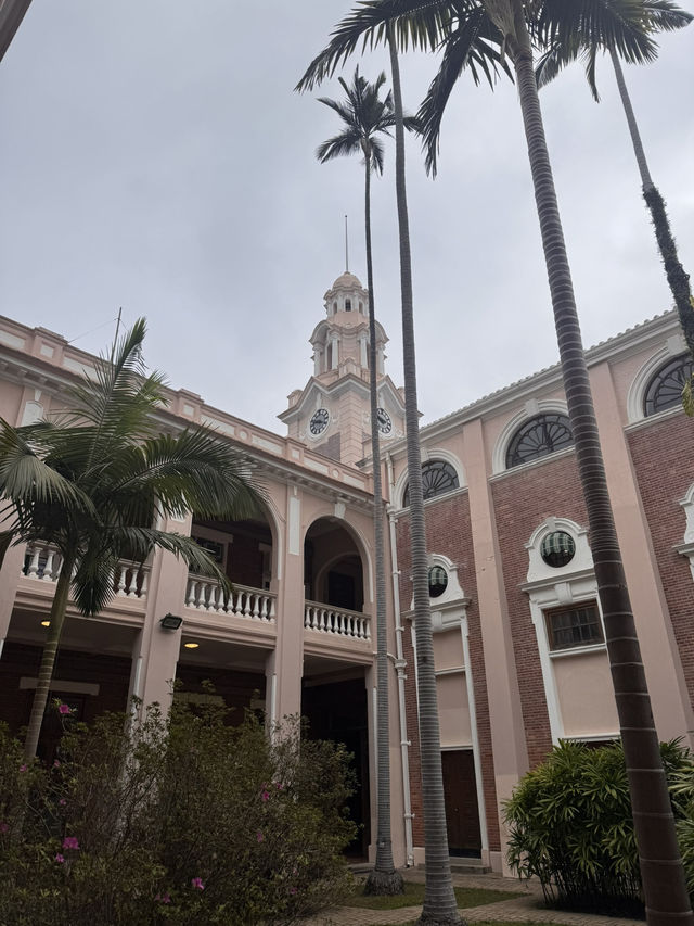 Campus Daydream☀️  