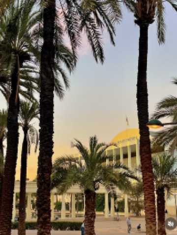 ์์ฆ ๋จ๋ ์คํ์ธ ์ฌํ์งโ๏ธ๐ช๐ธ