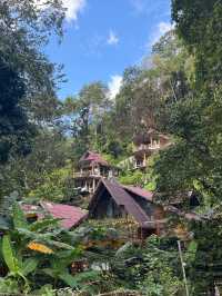 Proud Proud Proud Coffee — คาเฟ่สุดอบอุ่นกลางป่า