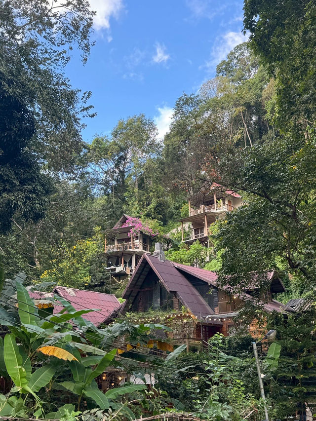 Proud Proud Proud Coffee — คาเฟ่สุดอบอุ่นกลางป่า Proud Proud Proud Coffee — คาเฟ่สุดอบอุ่นกลางป่า