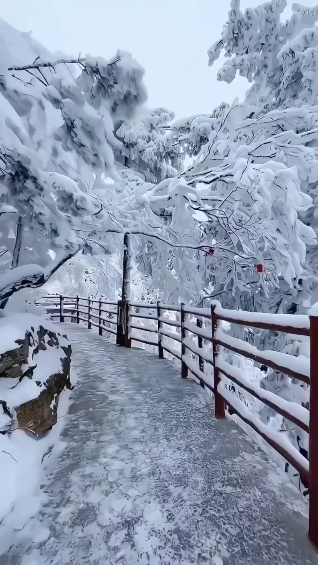 winter ❄️ in kashmir