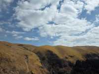 🇯🇵 구마모토 여행: 웅장한 아소산 찍고, 우유 공장 들러 쿠로카와 온천까지! 🌋♨️