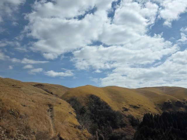 🇯🇵 구마모토 여행: 웅장한 아소산 찍고, 우유 공장 들러 쿠로카와 온천까지! 🌋♨️ 🇯🇵 구마모토 여행: 웅장한 아소산 찍고, 우유 공장 들러 쿠로카와 온천까지! 🌋♨️