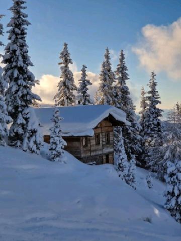 山頂美景與高山玫瑰：徒步穿越豪瑟山夏季山坡